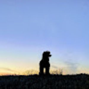 Meet your Posher, Rey